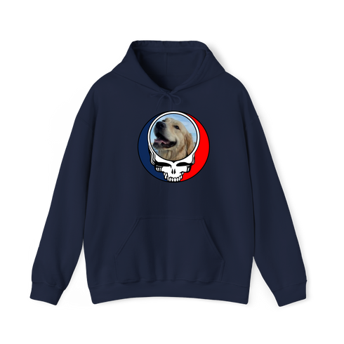 1698 - Custom Stealie Hoodie
