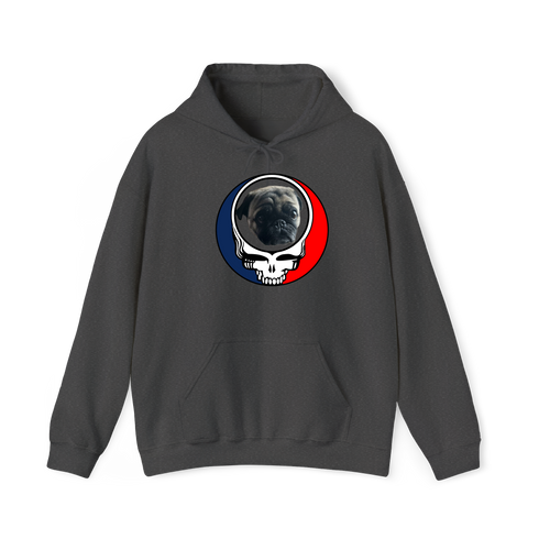 1388 - Custom Stealie Hoodie
