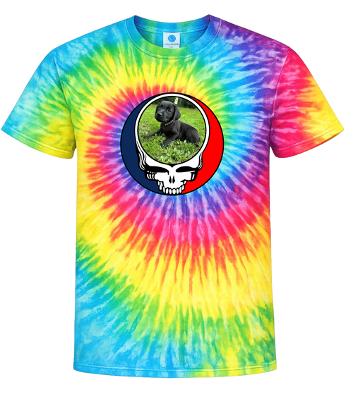 1448 - Custom Stealie Tie-Dye