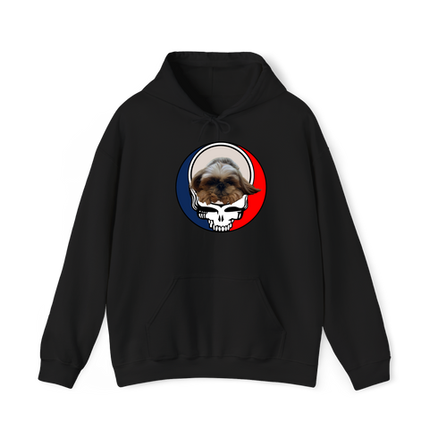 1622 - Custom Stealie Hoodie