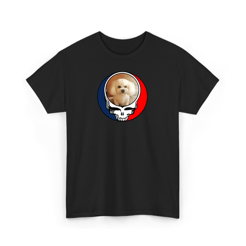 1641 - Custom Stealie T-Shirt