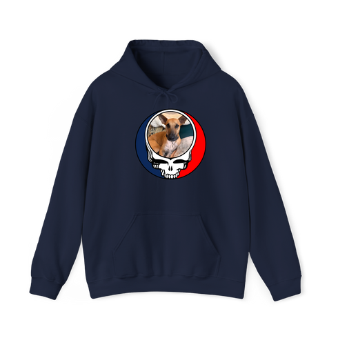 1355 - Custom Stealie Hoodie
