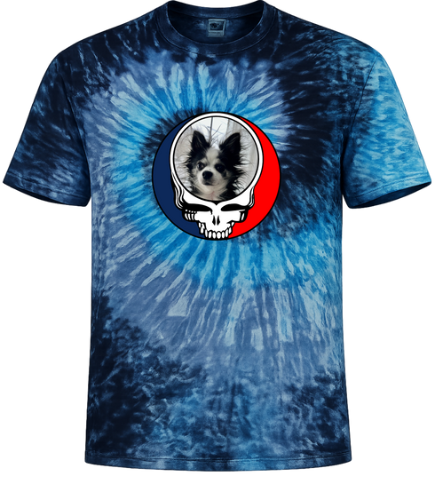 1709 - Custom Stealie Tie-Dye