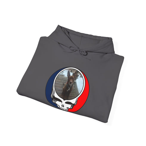 Custom Dog Premium Unisex Stealie Hoodie (116)