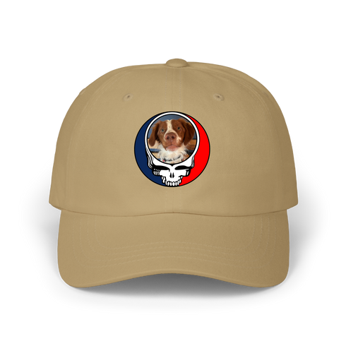 1538 - Custom Stealie Dad Hat