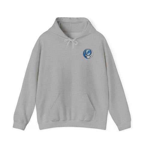 Detroit Lions Dancing Bear Unisex Hoodie - NFL - StealieShop