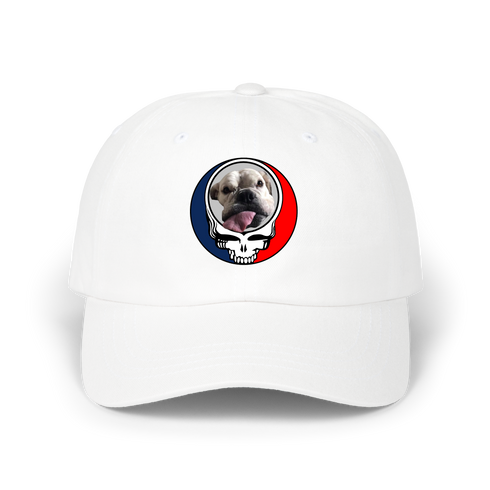 1695 - Custom Stealie Dad Hat
