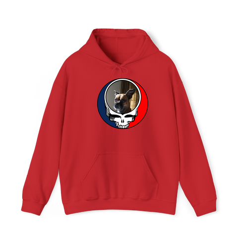 1705 - Custom Stealie Hoodie