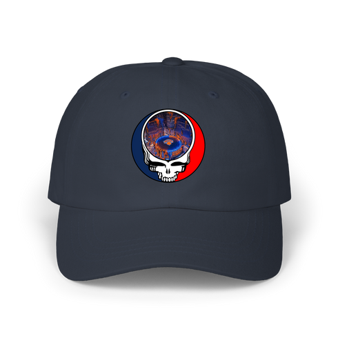 1597 - Custom Stealie Dad Hat