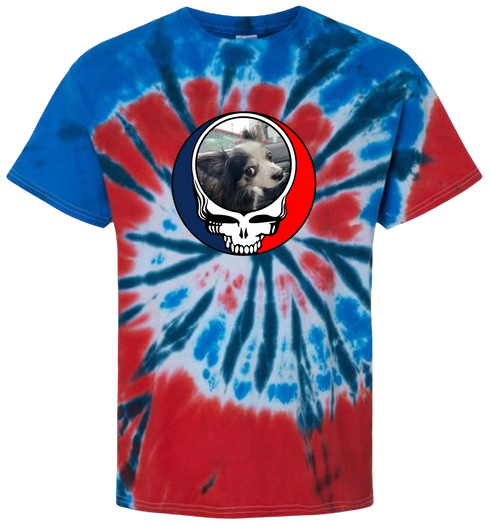 1715 - Custom Stealie Tie-Dye