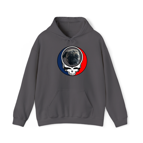 1388 - Custom Stealie Hoodie
