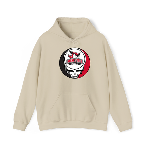 1393 - Custom Stealie Hoodie