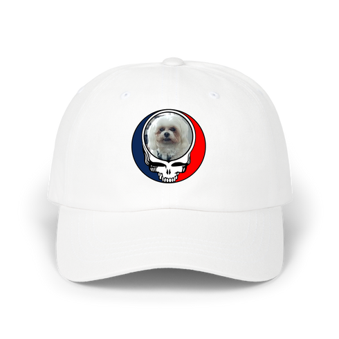 1727 - Custom Stealie Dad Hat