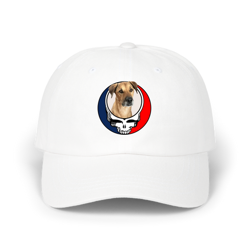 1653 - Custom Stealie Dad Hat