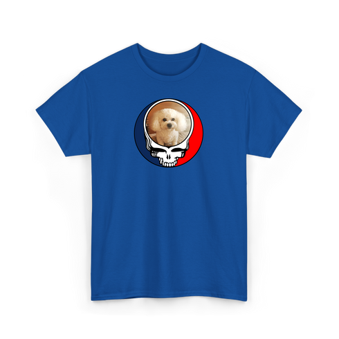 1641 - Custom Stealie T-Shirt