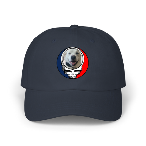 1564 - Custom Stealie Dad Hat
