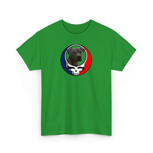 1437 - Custom Stealie T-Shirt