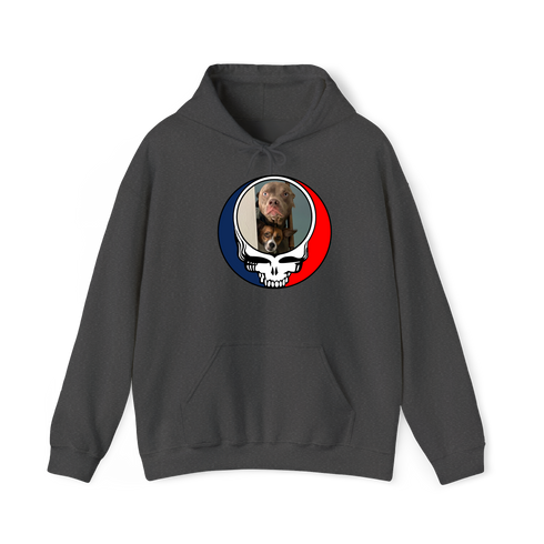 1629 - Custom Stealie Hoodie