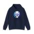 1587 - Custom Stealie Hoodie