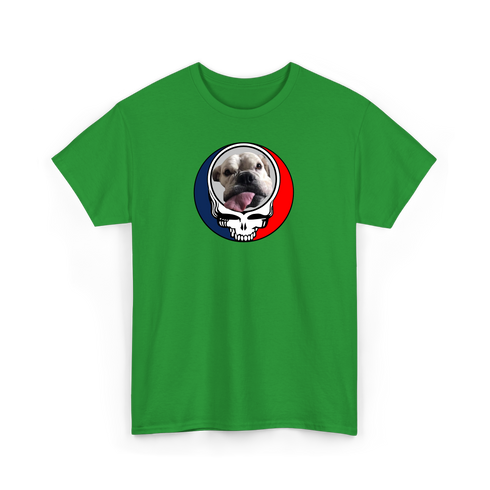 1695 - Custom Stealie T-Shirt