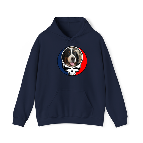 1583 - Custom Stealie Hoodie