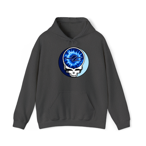 1607 - Custom Stealie Hoodie