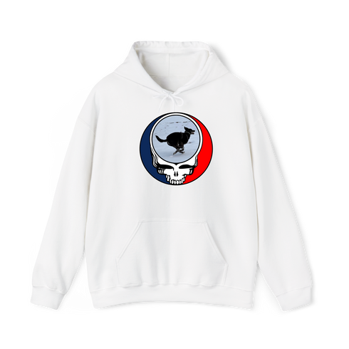 1628 - Custom Stealie Hoodie