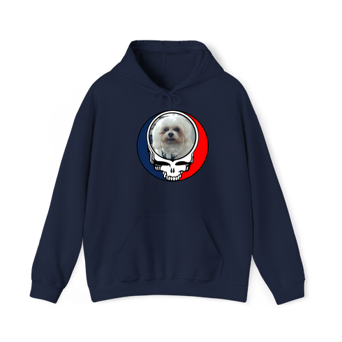 1727 - Custom Stealie Hoodie
