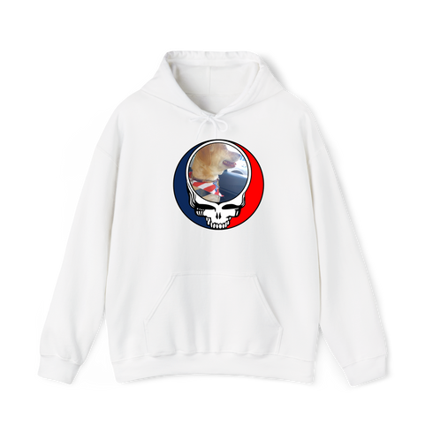 1647 - Custom Stealie Hoodie