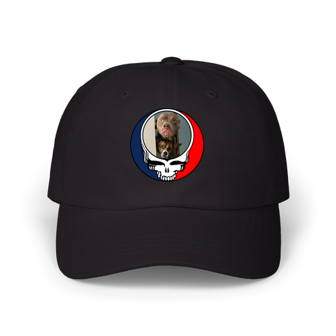 1629 - Custom Stealie Dad Hat