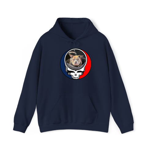 1526 - Custom Stealie Hoodie