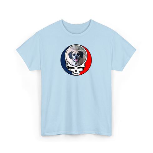 1735 - Custom Stealie T-Shirt