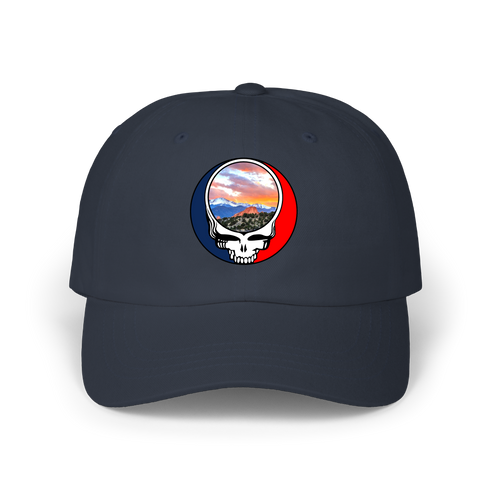 1596 - Custom Stealie Dad Hat