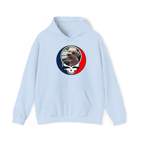 1644 - Custom Stealie Hoodie