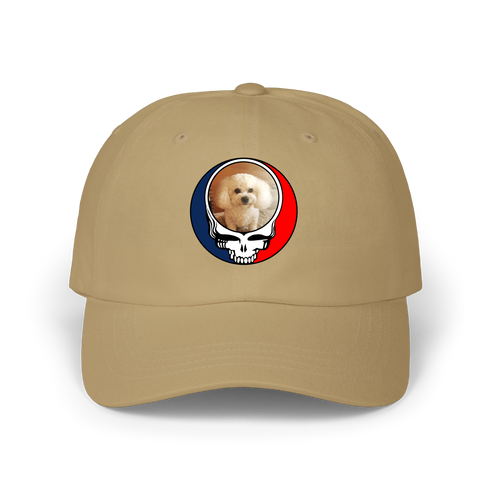 1641 - Custom Stealie Dad Hat
