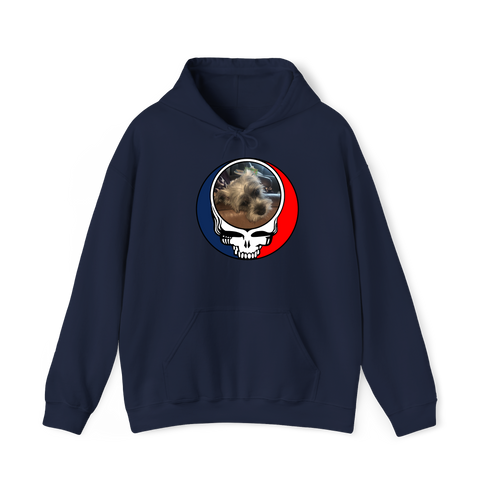 1395 - Custom Stealie Hoodie