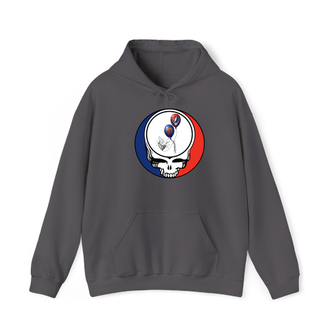1673 - Custom Stealie Hoodie