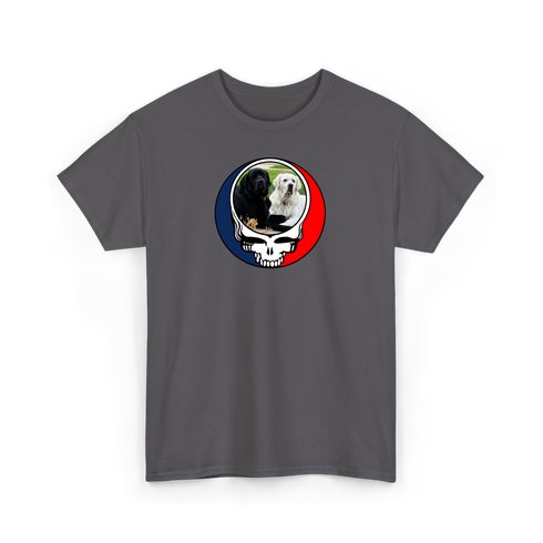 1619 - Custom Stealie T-Shirt