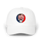 1559 - Custom Stealie Dad Hat