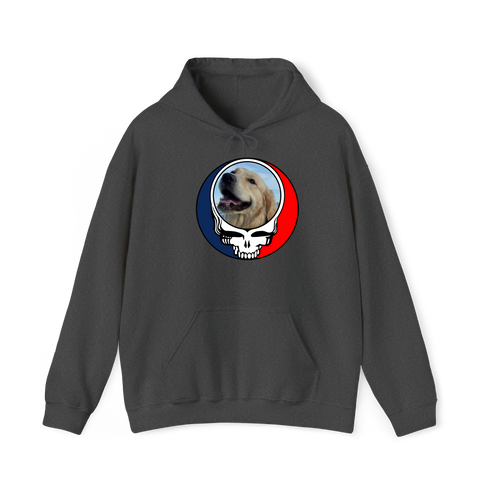1698 - Custom Stealie Hoodie