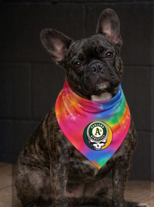 Oakland Athletics Stealie Grateful Dead Dog Bandana - Fits Most Dogs