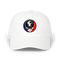 1704 - Custom Stealie Dad Hat