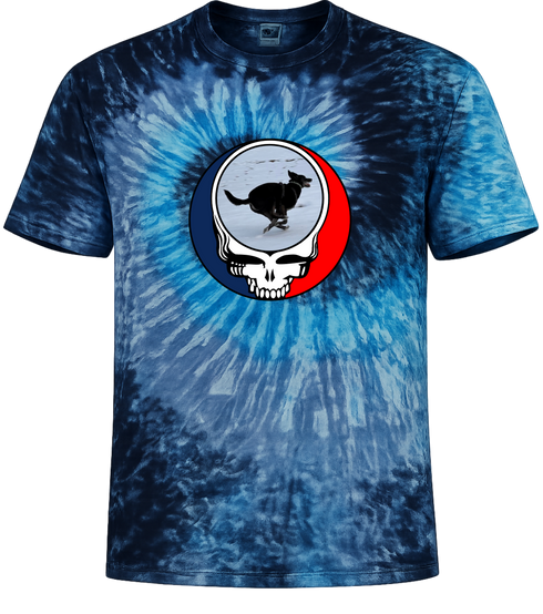 1628 - Custom Stealie Tie-Dye