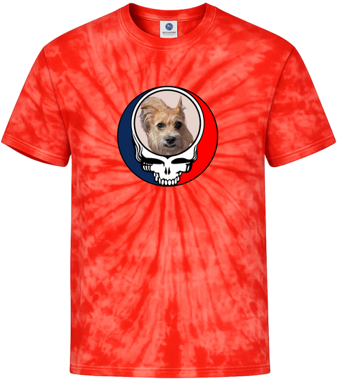 1487 - Custom Stealie Tie-Dye