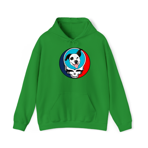 1593 - Custom Stealie Hoodie