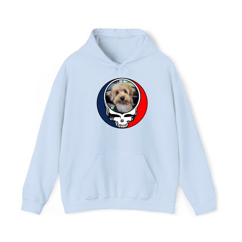 1612 - Custom Stealie Hoodie