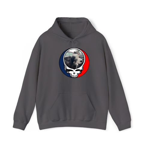 1715 - Custom Stealie Hoodie