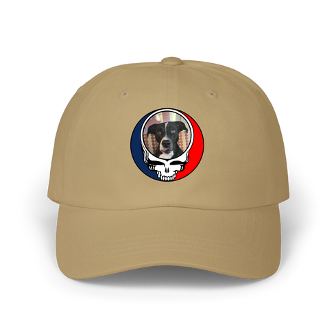 1517 - Custom Stealie Dad Hat