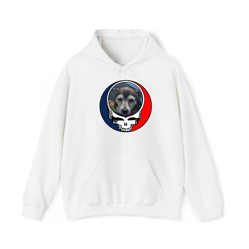1500 - Custom Stealie Hoodie