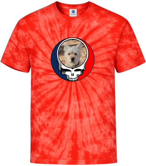 1504 - Custom Stealie Tie-Dye